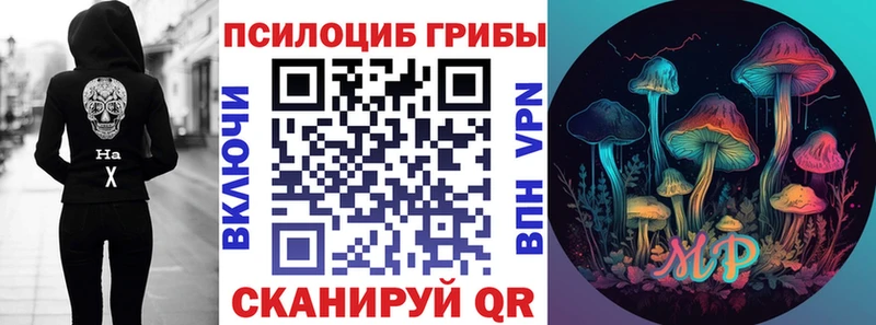 Галлюциногенные грибы Psilocybe  Купить где  Боровск 