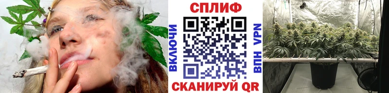 Купить  Боровск  МАРИХУАНА MAZAR 